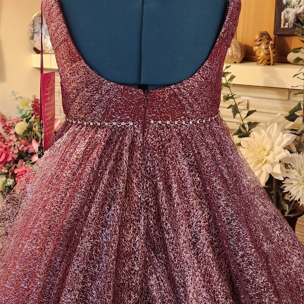 Terani Couture Wine Gown - Picture 5 of 8